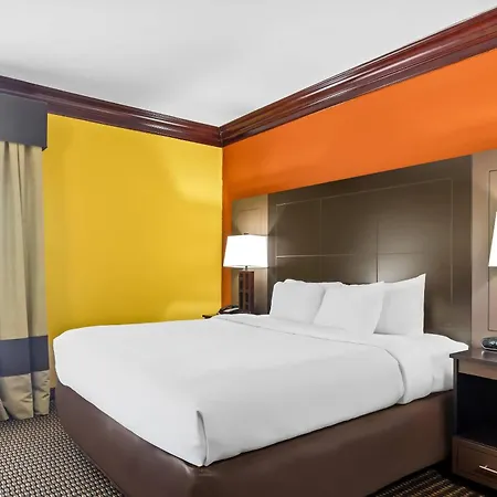 Comfort Suites Lake Jackson Clute-3