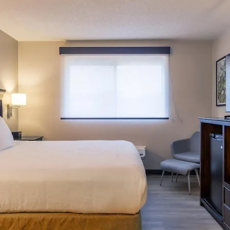 Best Western The Inn At Sharon - Foxboro-2