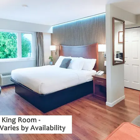 Gibsons Garden Hotel-2