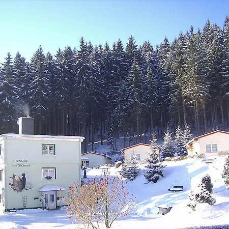 Pension Am Waldesrand-3