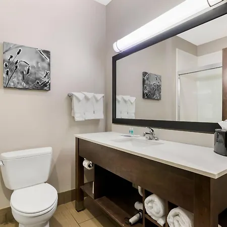 Comfort Inn & Suites-3