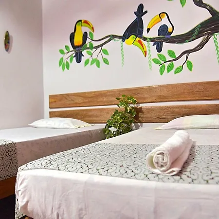 Amazon House Hostel-3