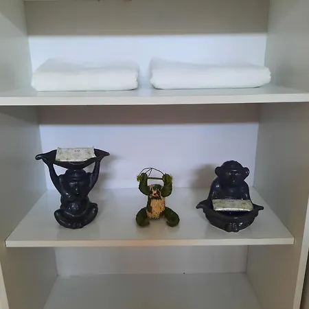 Amazon House Hostel-2