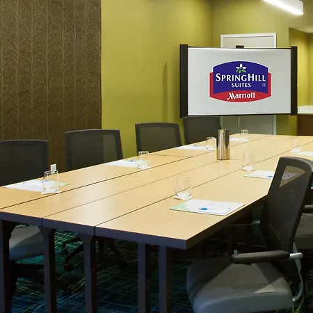 Springhill Suites By Marriott Mobile West-3