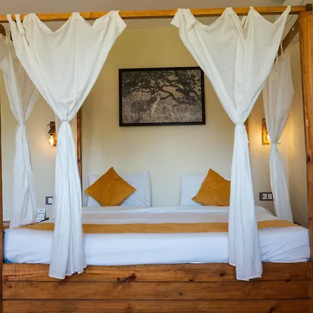 Greetoe Camp Panna-2