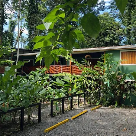 Hotel Boutique The Green Jungle House-2