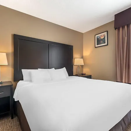 Comfort Inn & Suites Vernal - National Monument Area-2