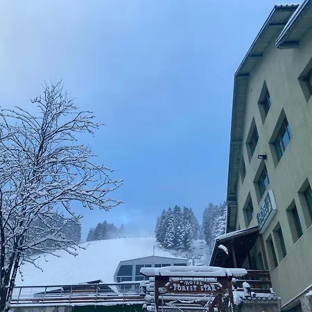 Hotel Forest Star On The Ski Slope-3