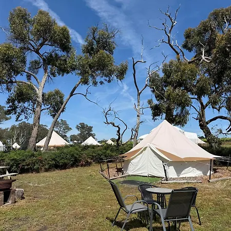 Coonawarra Bush Holiday Park-2