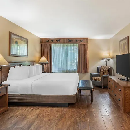 Best Western Plus Kelly Inn & Suites-2