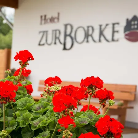Hotel Zur-Borke-2