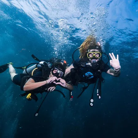 Dpm Koh Tao Diving Hotel & Bar-2
