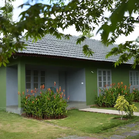 Palm Era Resorts-3