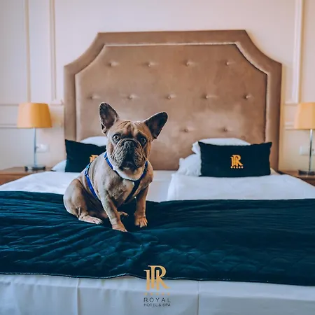 Hotel Royal & Spa-2