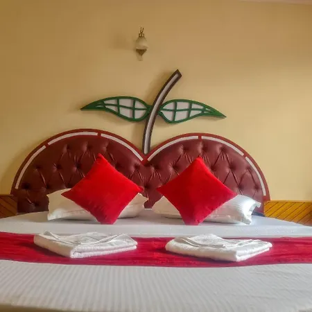 Hotel Mountain Top-3
