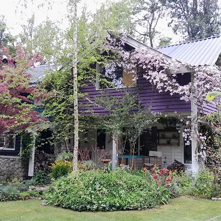 Dodo House-3