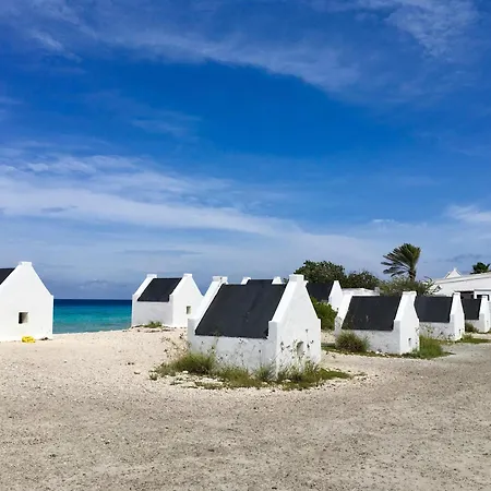 Delfins Beach Resort Bonaire, Tapestry Collection By Hilton-3
