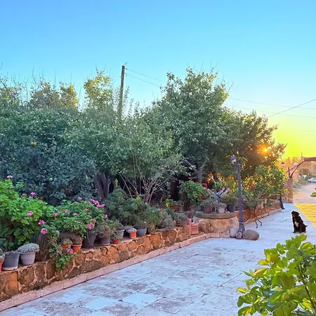 Revaklı Ev Guest House-3