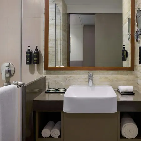 The Fern, Vadodara, Series By Marriott-3