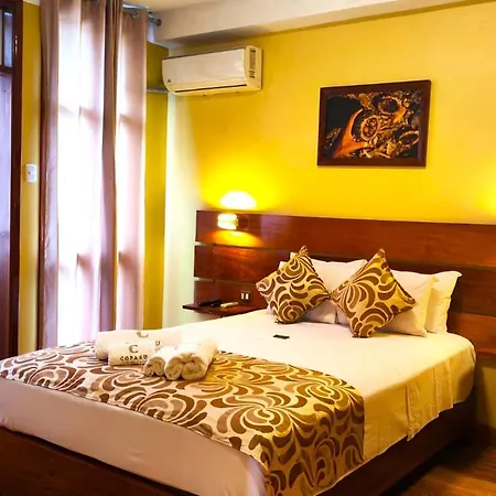 Copasu Hotel-3