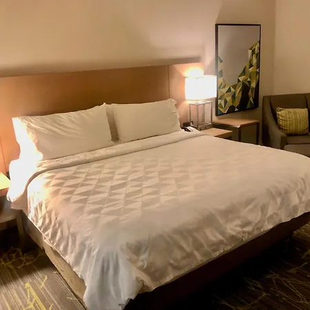 Holiday Inn & Suites Houston Nw - Vintage Park Area By Ihg-3