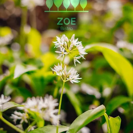 Zoe Bistro & Accommodation-3