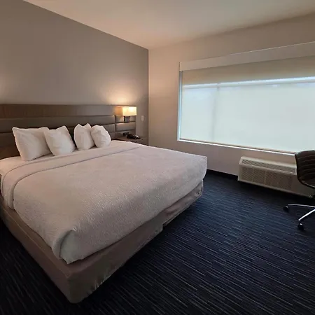 Wingate By Wyndham Austin North - Round Rock-3