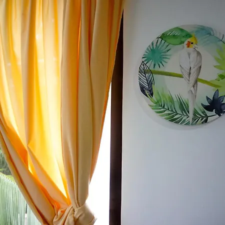 Mayas Guesthouse-3