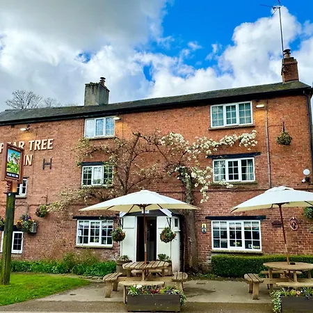 The Pear Tree-2