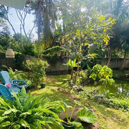 Silence Paradise-3
