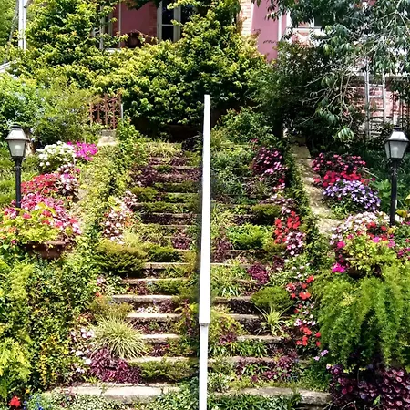 Villa Violeta-2