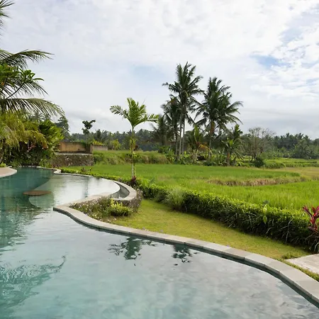Beehouse Dijiwa Ubud-2