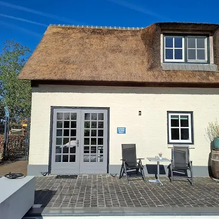 Guesthouse Rijsbergen_Zundert-3