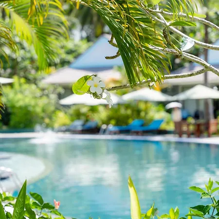 Kingo Retreat Resort-3