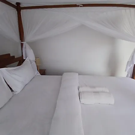 Bird Of Paradise Eco Lodge-3
