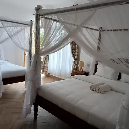 Bird Of Paradise Eco Lodge-2