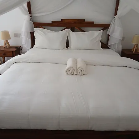 Bird Of Paradise Eco Lodge-2