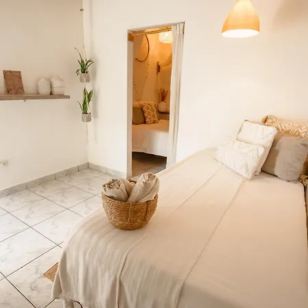 Tribe Boutique Hotel - Adults Only-2