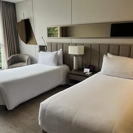 York Medellin, Curio Collection By Hilton-3