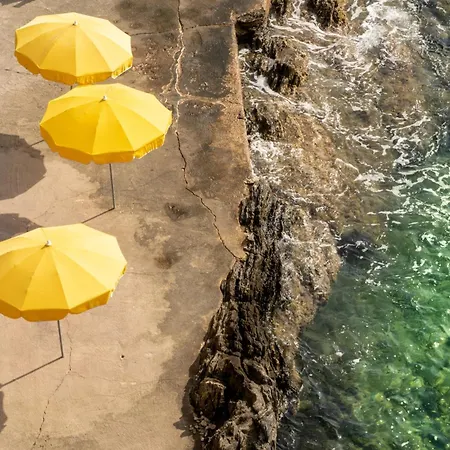 Residence Hoteliere Le Provencal A Giens - Bord De Mer-3