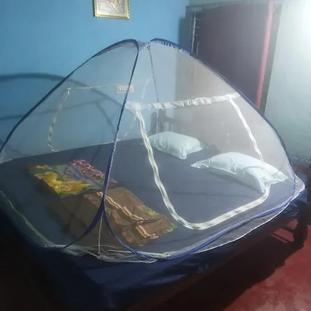 Ocean Sparrow Home Stay-3