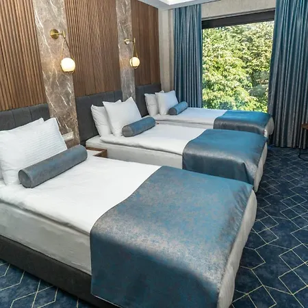 Ring Stone Hotels Bosphorus - Special Class-3