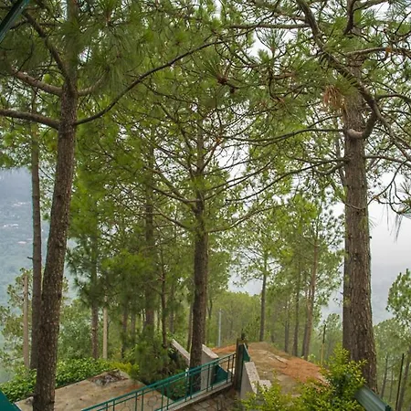 The Cloud Berry: Serviced Villa with Private Balcony and Bonfire in Kasauli-3