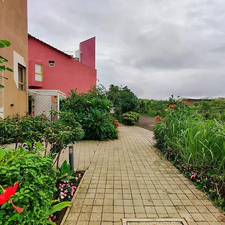 Touchwood Bliss Nature Retreat - Igatpuri-2