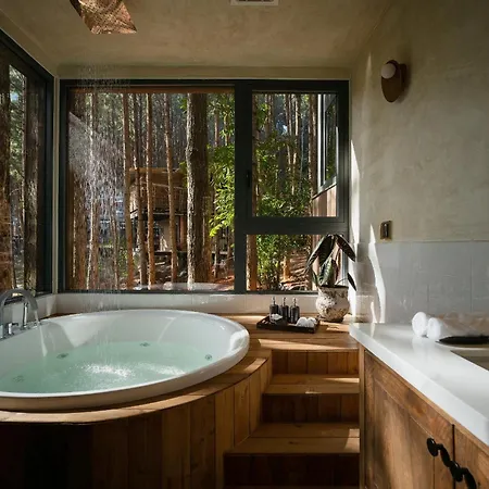 Mo Stay - Forest Resort-3