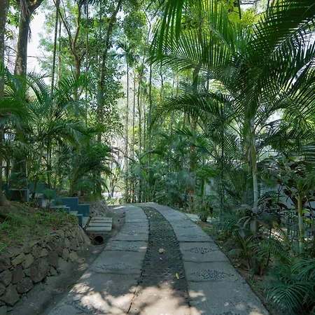 The Hive Wayanad-3
