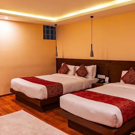 Apex Business Hotel - Tribhuvan International Airport, Kathmandu-3