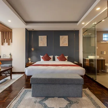Apex Business Hotel - Tribhuvan International Airport, Kathmandu-2
