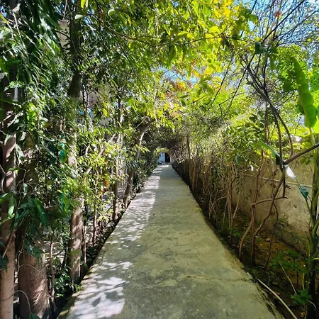Sukha'S Sepna Village-2