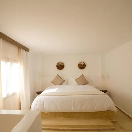 Riad Rahal-2